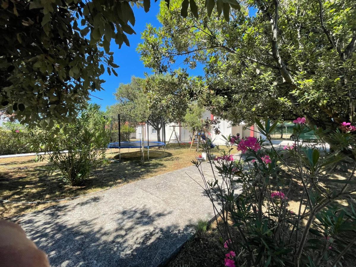Apartma Ante Lägenhet Zaton  Exteriör bild
